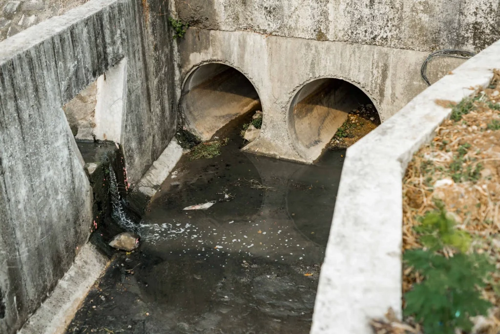 PT CIPTA SARANA SUKSES ABADI CSSA